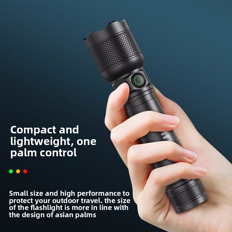 2025 NEW Philips SFL2188 LED A - Outdoor Lighting Usa ulasan dan harga