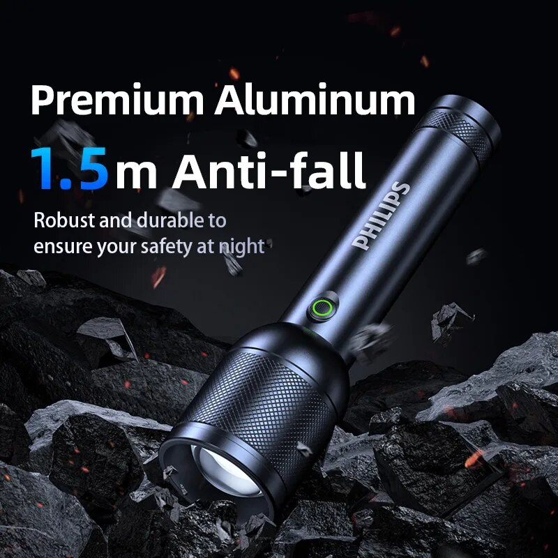 PHILIPS SFL8168 Handheld LED T - Outdoor Lighting Philips ulasan dan harga