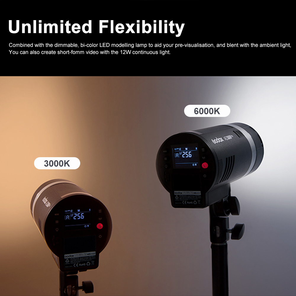 Godox AD300Pro Outdoor Flash L - Outdoor Lighting Kit Photography ulasan dan harga